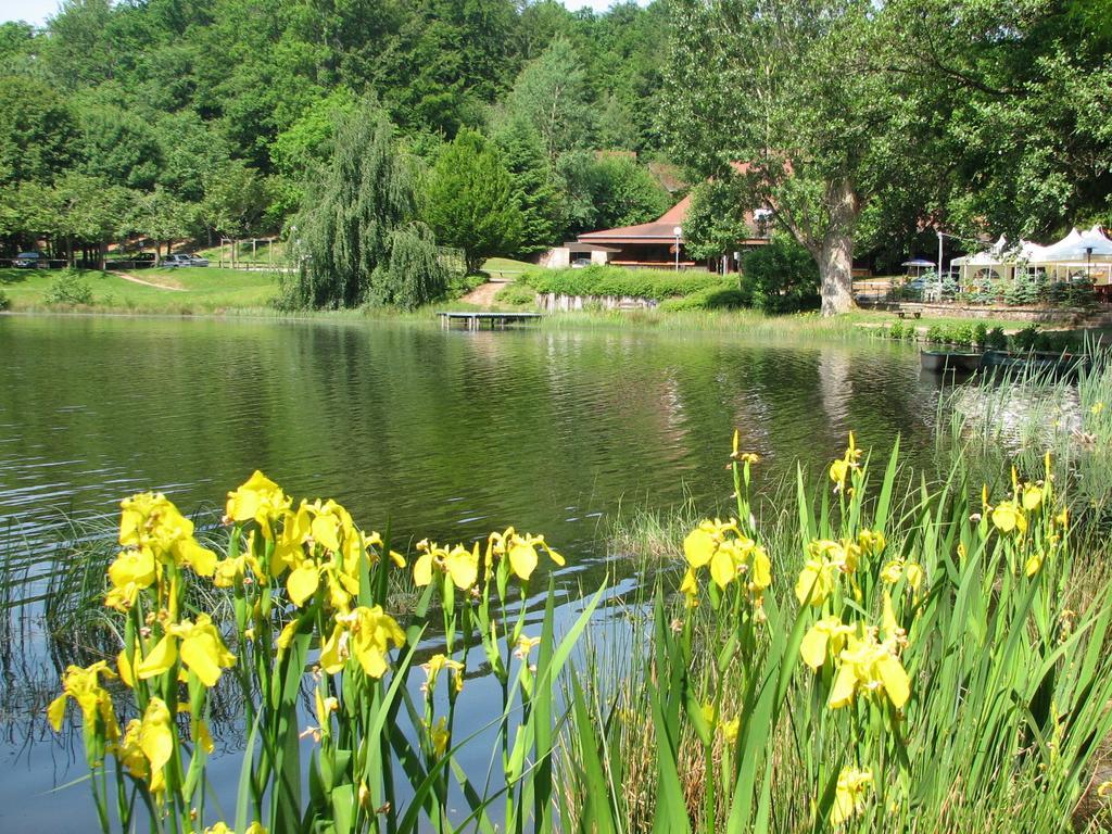 Vvf Les Vosges